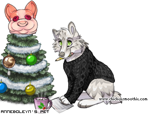 Dressed pet