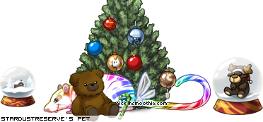 Dressed pet