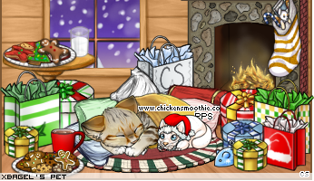 Dressed pet