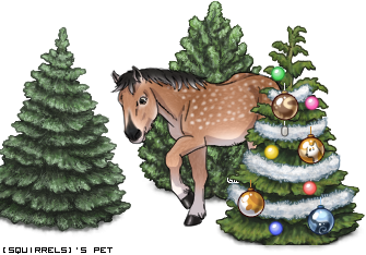 Dressed pet
