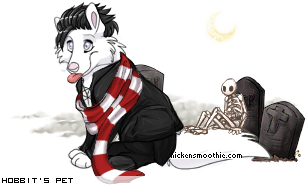 Dressed pet