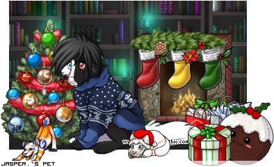 Dressed pet