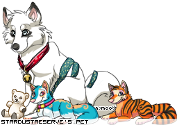 Dressed pet
