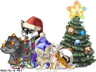 Dressed pet