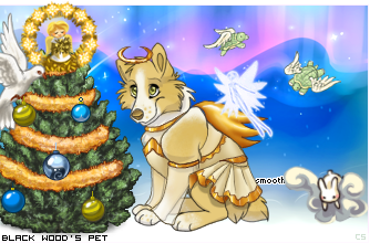 Dressed pet