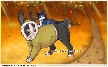 Dressed pet