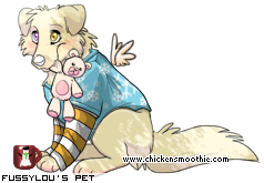 Dressed pet