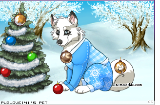 Dressed pet