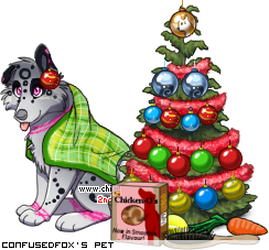 Dressed pet