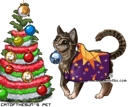 Dressed pet