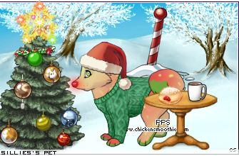 Dressed pet
