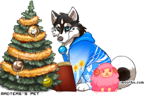 Dressed pet