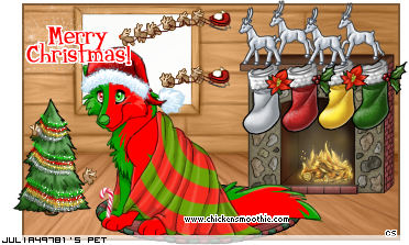 Dressed pet
