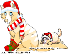 Dressed pet