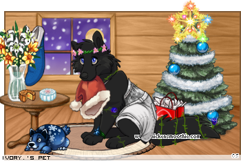 Dressed pet