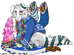Dressed pet