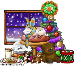 Dressed pet