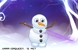 Dressed pet