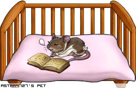 Dressed pet