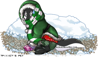 Dressed pet