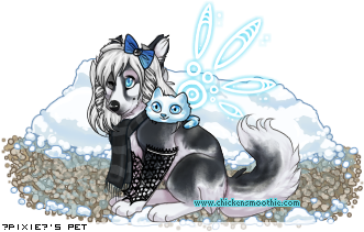 Dressed pet