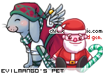 Dressed pet