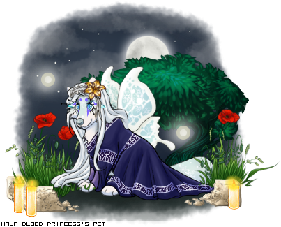 Dressed pet