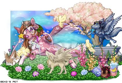 Dressed pet