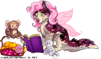 Dressed pet