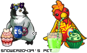 Dressed pet