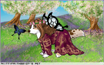 Dressed pet