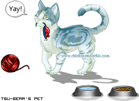 Dressed pet