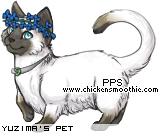 Dressed pet