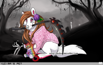 Dressed pet