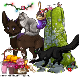 Dressed pet