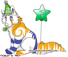 Dressed pet