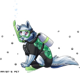 Dressed pet