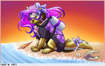Dressed pet