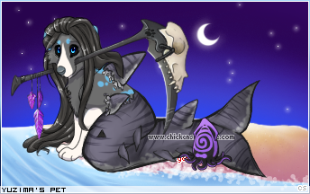 Dressed pet