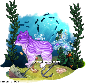 Dressed pet