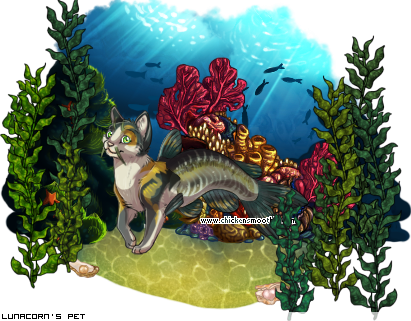 Dressed pet
