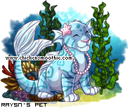 Dressed pet