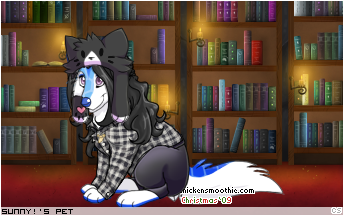 Dressed pet