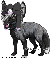 Dressed pet