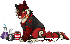 Dressed pet