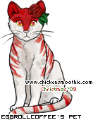 Dressed pet