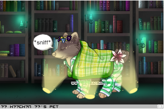 Dressed pet
