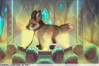 Dressed pet