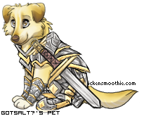 Dressed pet