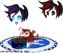 Dressed pet